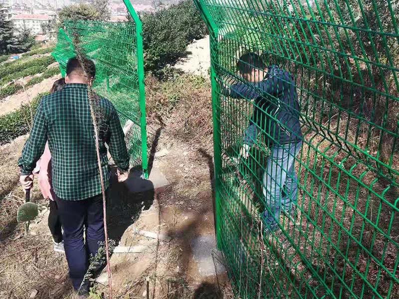 防護網(wǎng)安裝保護美麗嶗山